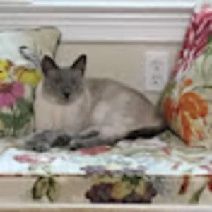 Meet your Posher, Heidrun